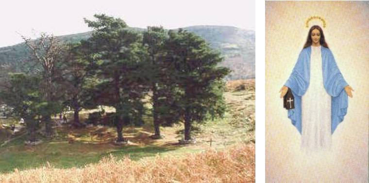 Trees and religious figure in blue robe.