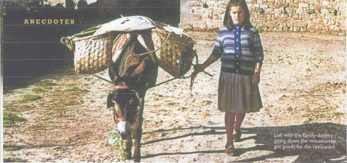 Girl leading donkey carrying baskets outdoors.