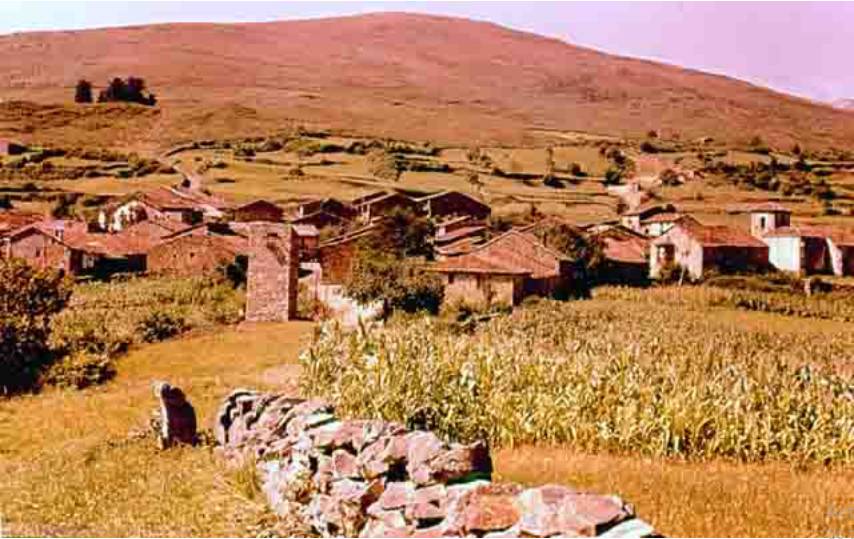 Rural village with stone wall and fields.