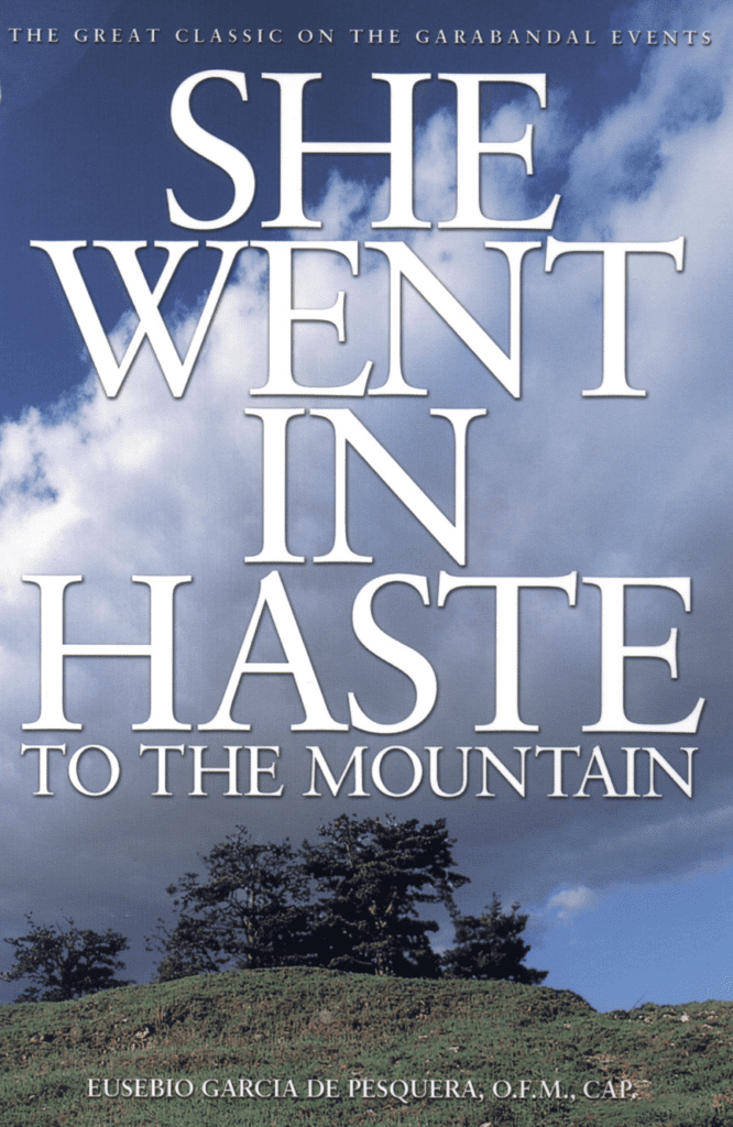Book cover: "She Went in Haste to Mountain".