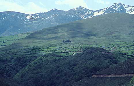 Mountain landscape with greenery and distant peaks.